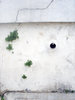 Crack in the wall
