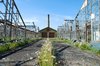 weedhouse 3