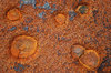 Rust