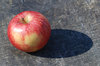 apple on plank 4