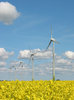 windmills and yellow field