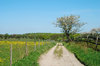 Countree side