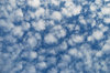 Altocumulus Clouds 2