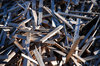Construction Waste