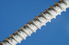 Galvanized Screw