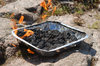 Disposable Grill
