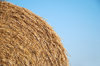 Hay bale Texture