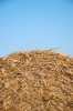 Hay bale Texture