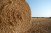 Hay Bales