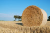 Hay Bale Series 3