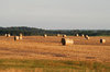 Hay Bale Series 1
