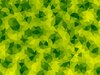 Mosaic 1