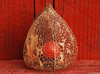 Withered Capsule 4