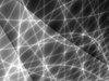 Light Tracks 4