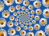 Daisy Warps 3