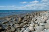 Stony Coast