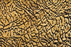 Textured Metal 2
