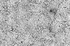 Crackle Glazing BW