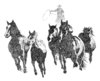 Stimple Horse