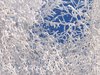 Sunny snow