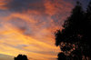 Silhouette sunset