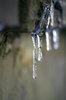 ICICLE