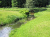rivulet landscape