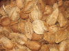 Dehusked Coconuts