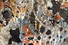 Trashbin Grunge