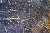 Scratched Paint