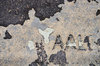 Sidewalk textures