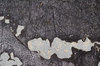 Sidewalk textures