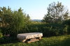 Peaceful place