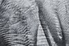 Scratched steel 2