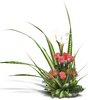Rosas y Calas