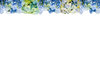 Hortensia Border