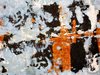 Poster remnant