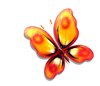 Silken Butterfly