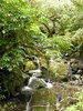 Mountain Stream 2