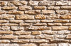 wall tex