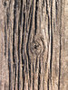 Weathered Wood