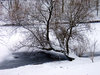 winter lake 3
