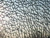 broken glass texture