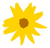 Drawn flower