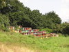 Hives