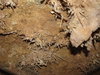 Cavescape