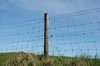Fence and Pole