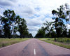 Open Road 1
