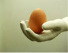 Egg anyone?