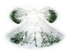 Susan's Snow Angel
